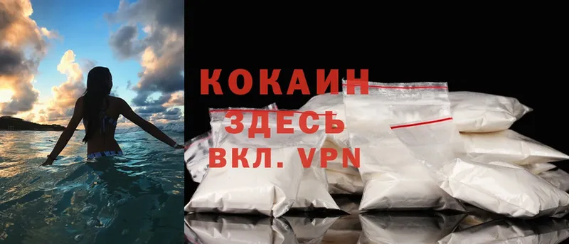 как найти закладки  Касимов  блэк спрут ССЫЛКА  Cocaine Эквадор 